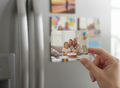 2x3 Custom Photo Magnets